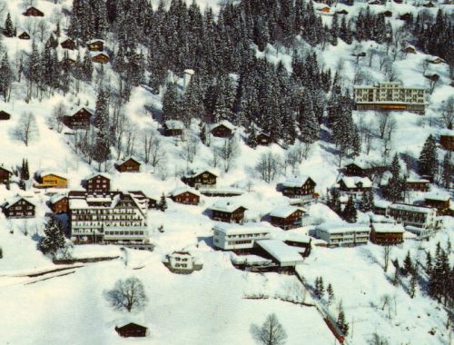 Klicken für Bild in voller Größe